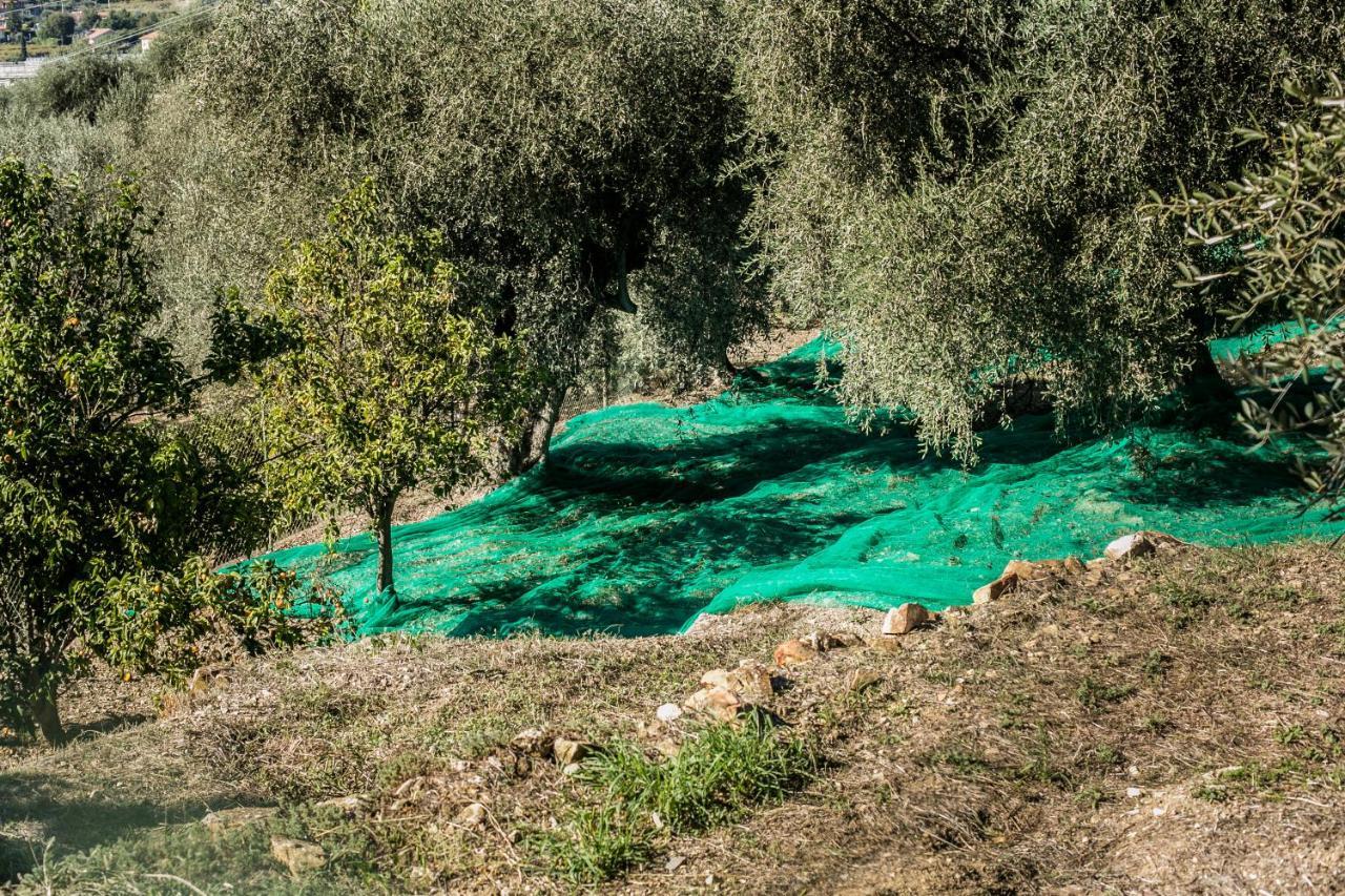 Le Raganelle Hotel Oneglia Luaran gambar